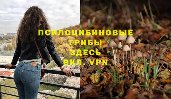 ALPHA PVP Беломорск