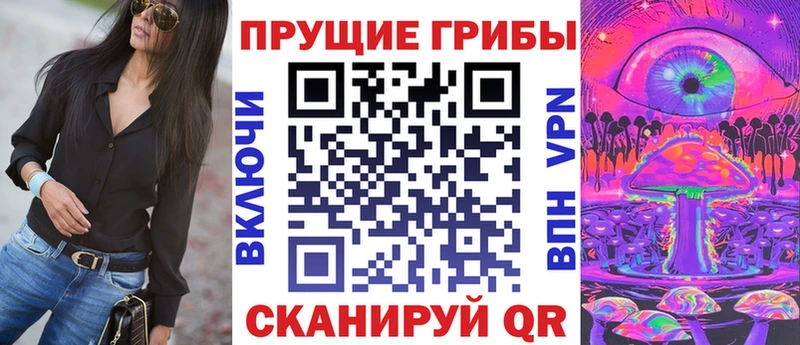 Купить где Кунгур Псилоцибиновые грибы Magic Shrooms